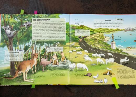 《地图上的全景中国地理》+《地图上的全景世界地理》全4册 赠送：两张超大尺寸的“中国地图”+“世界地图”（3折包邮！） 商品图7