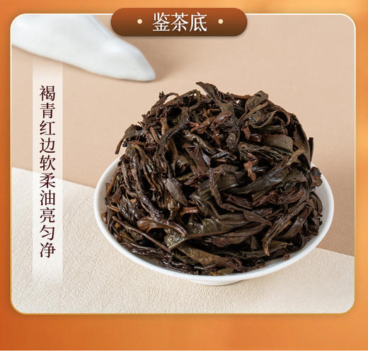 凤凰单枞 | 宋茶荟2024年  喫茶系组合装 春茶 100g*4 商品图6