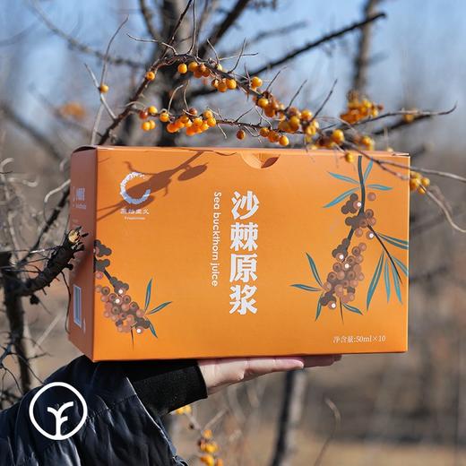 【检测SGS4次复检308项农残未检出 内蒙原始主义沙棘原浆 有机原料/远方定制有机沙棘全果原浆 保留沙棘本真】每日一支补充所需维生素C 商品图1