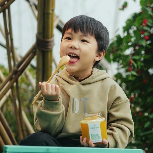 【检测SGS抗生素未检出 远方的梦想定制 真正的结晶土蜂蜜!传统采蜜 采自贵州深山一年一次 今年新鲜蜂蜜 商品图2