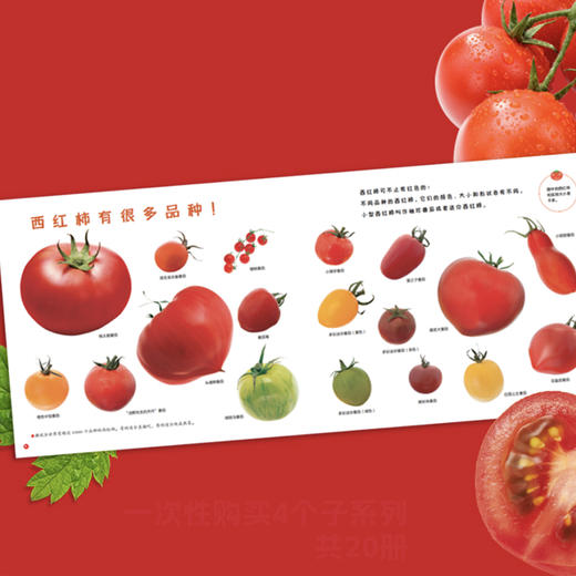 《好好科学》 （共4辑） 商品图4