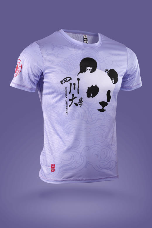 [现货]四川大学校友跑团2024紫气东来龍馬精神竞速背心 短袖TEE专用链接 商品图1