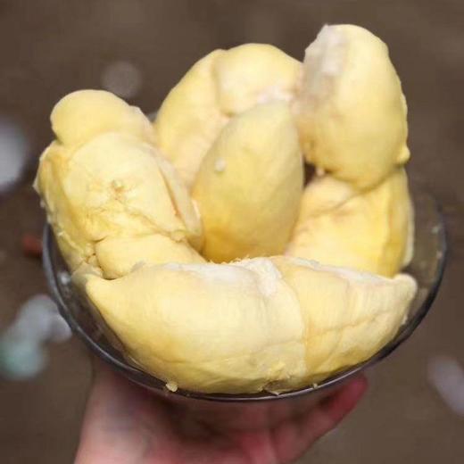 【“软绵香浓”！泰国金枕头榴莲】超满足！软绵香浓，如牛奶般嫩滑！果肉营养丰富，带壳新鲜榴莲一整个L 商品图3