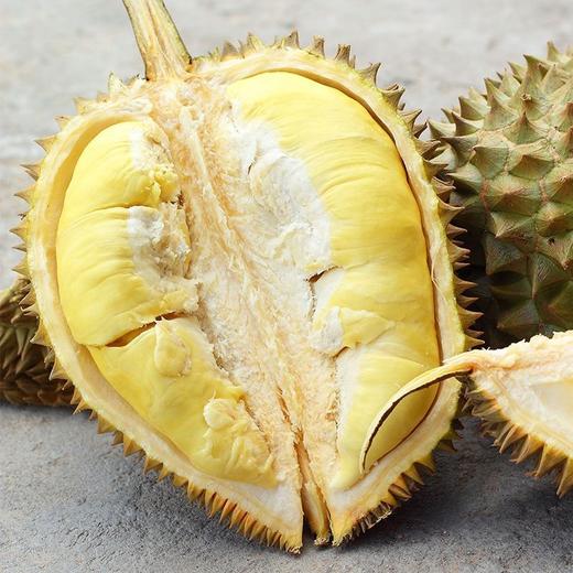 【“软绵香浓”！泰国金枕头榴莲】超满足！软绵香浓，如牛奶般嫩滑！果肉营养丰富，带壳新鲜榴莲一整个L 商品图1