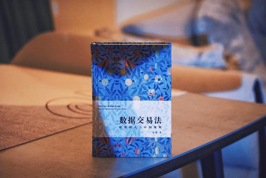 《数据交易法：欧盟模式与中国规则》丨中欧对比视角下数据交易法精研新作丨非签名本 商品图12