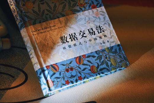 《数据交易法：欧盟模式与中国规则》丨中欧对比视角下数据交易法精研新作丨非签名本 商品图5