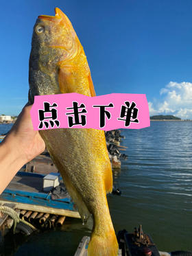  扫码添加私人微信，领取免费产品、获取最新海鲜价格表！！！ 