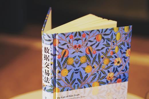 《数据交易法：欧盟模式与中国规则》丨中欧对比视角下数据交易法精研新作丨非签名本 商品图8