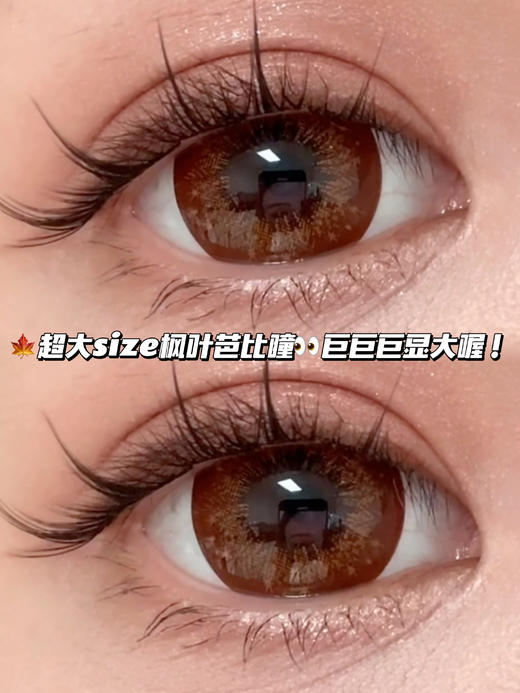 Barbiebrown 芭比枫叶棕「含硅水凝胶」年抛型 商品图0