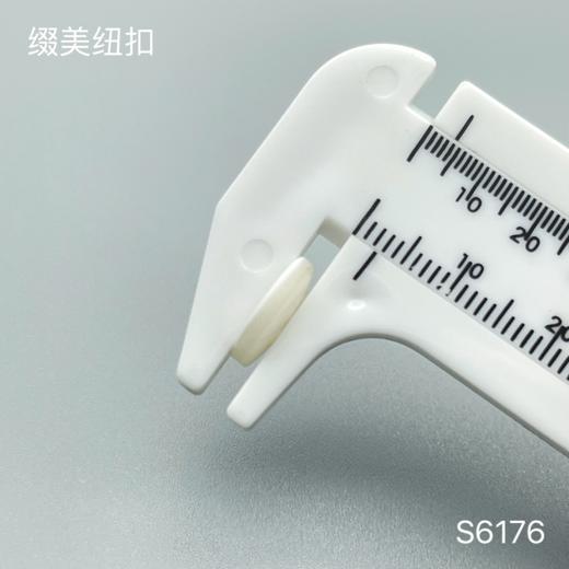 S6176(整包购买) 商品图2