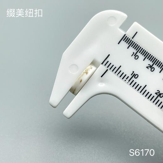 S6170(整包购买) 商品图3