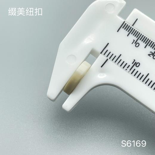 S6169(整包购买) 商品图3