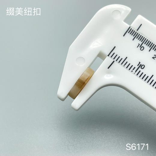 S6171(整包购买) 商品图3