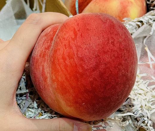 【中果】正宗北京水蜜桃 |水果 商品图2