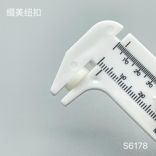 S6178(整包购买) 商品图5