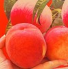 【中果】正宗北京水蜜桃 |水果 商品缩略图1