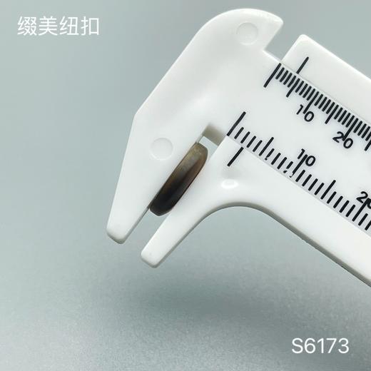 S6173(整包购买) 商品图3