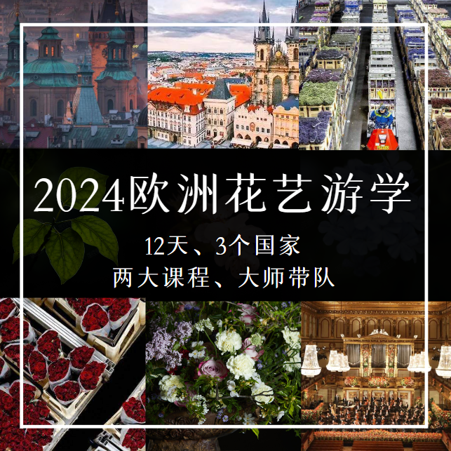 2024欧洲花艺游学
