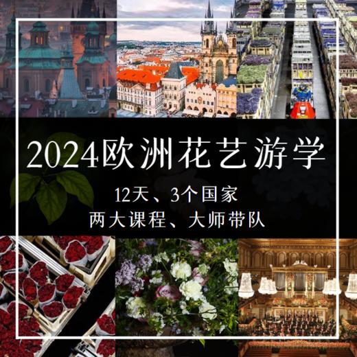 2024欧洲花艺游学 商品图0