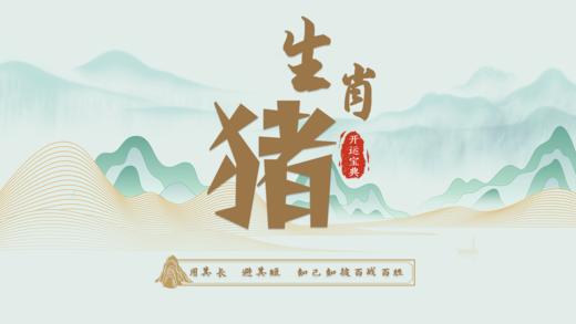 12.亥猪开运宝典 商品图0