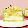 烤爱·生日蛋糕系列·暴珠猫山王榴莲椰奶冻·水果榴莲椰奶开心果·聚会生日节日【仅限深圳同城配送】 商品缩略图1