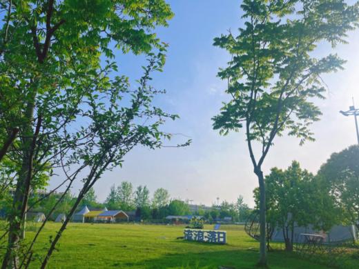 智慧花乐园门票+亲子投壶趣味挑战赛30元福利门票 商品图1