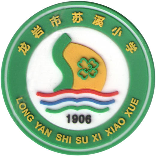 龙岩市苏溪小学 新款（夏礼服） 商品图0