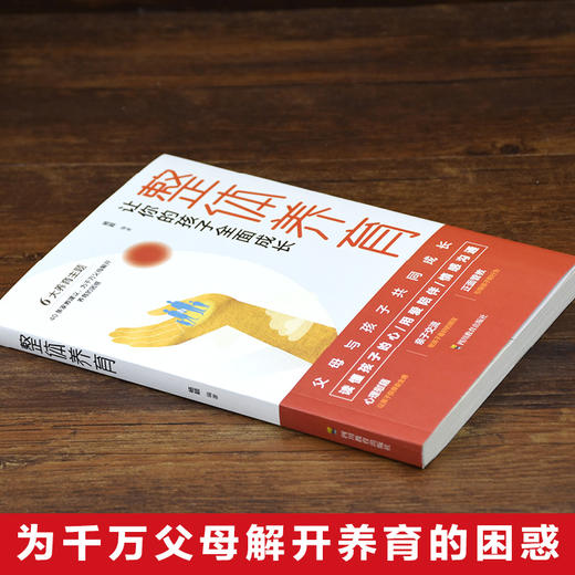 整体养育：让你的孩子全面成长 读懂孩子的心 用爱陪伴 情感沟通 商品图1
