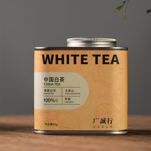 【是山】中国福鼎白茶龙珠85g 商品图0