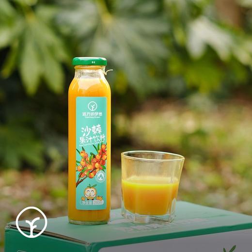 【远方检测SGS308项农残0检出内蒙古原始主义 沙棘果汁饮料】0色素0添加 源于自然 冰果鲜榨 酸甜可囗 健康又解腻 290ml*8瓶 商品图1