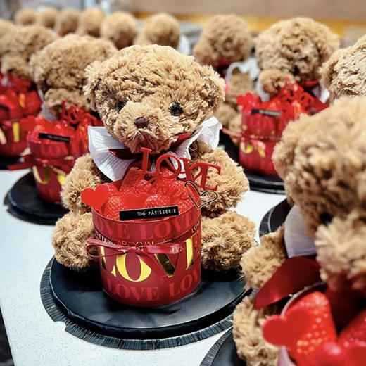 抱抱熊 商品图1