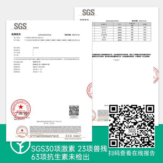 【SGS检测110项兽残药残抗生素检测未检出 0添加水煎鸡排】健身减脂代餐 高蛋白低脂肪 无保水剂 口感软嫩 做早餐做沙拉小朋友更爱吃 商品图5