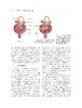 慢性肾脏病蛋白质能量消耗基础与临床 丁巍 肾脏康复新理念技术方法 CKD PEW病生理机制临床评估 上海科学技术出版社9787547865644 商品缩略图4