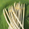 合作 | 藕带 300g*4份【基地直发】产地：湖北 商品缩略图1