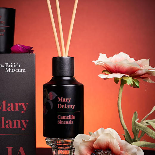 大英博物馆 博物志系列 德拉尼 香氛蜡烛 香薰套装礼盒-红色山茶 商品图2