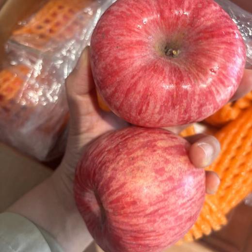 【顺丰】2025新果 西域美农  洛川苹果 商品图4