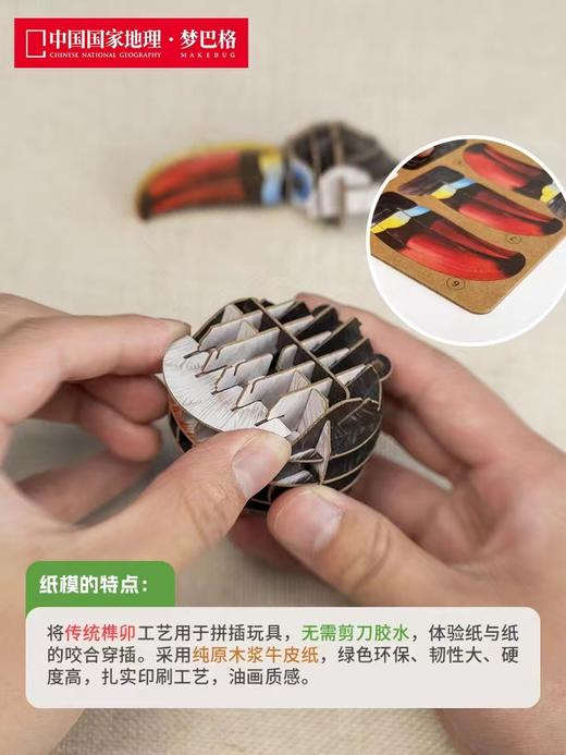 【代发】梦巴格仿真手工拼插纸模型 赠品不接受指定随机发货 商品图3