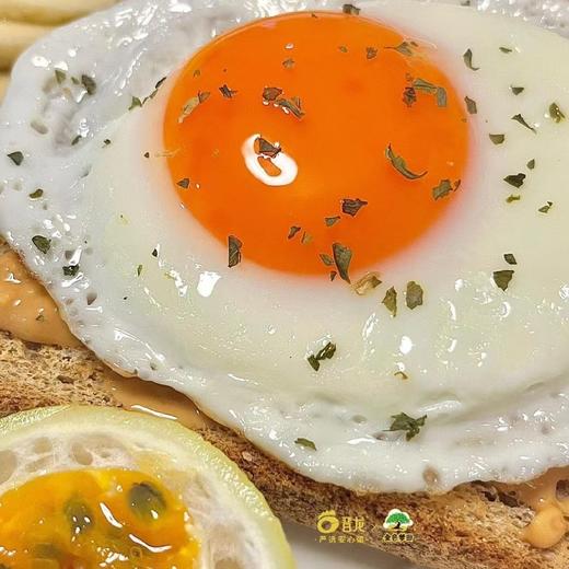 福利！福利！五福善养鸡蛋，出口级·五谷蛋  天然玉米黄 、 口感细腻、鲜香嫩滑、蛋白Q弹  30枚送20枚 商品图2