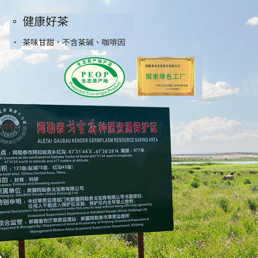 戈宝红麻罗布麻茶 原叶茶试饮 适合血压偏高人群中老年养生茶礼盒 商品图5