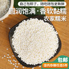 农家自种江米   圆润饱满 香软黏糯   端午包粽子 圆糯米   随吃随包更新鲜  可包粽子/糯米藕 五谷杂粮 400g 商品缩略图0