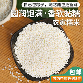 农家自种江米   圆润饱满 香软黏糯   端午包粽子 圆糯米   随吃随包更新鲜  可包粽子/糯米藕 五谷杂粮 400g