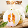 【网红爆款】山东蜜露流星甜瓜  月露、梦露甜瓜 新鲜当季甜瓜 商品缩略图0