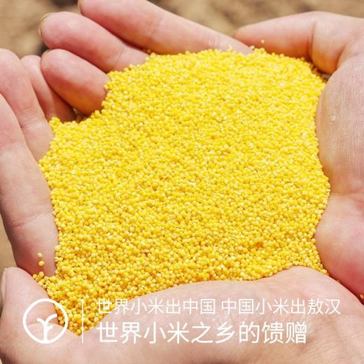 【远方检测SGS308项农残未检出敖汉有机小米】8000年种植老小米 产自世界环境五百佳的敖汉 商品图1