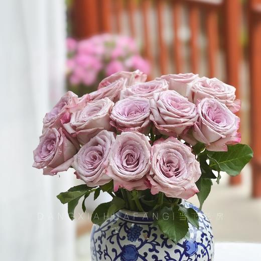 【AB级气场玫瑰.第二件减10元】10支/份  长60cm 商品图8