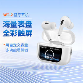 【更懂你的智能降噪耳机】WT-2五代顶配版蓝牙触屏耳机  低功耗高续航 无线双模式降噪海量表盘 全彩触屏
