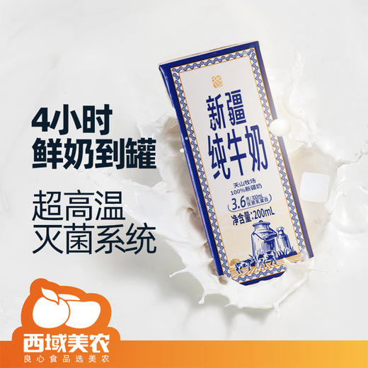 【配料干净】孩子都喜欢喝 西域美农新疆纯牛奶200ml/盒*20盒   补充蛋白质 商品图2