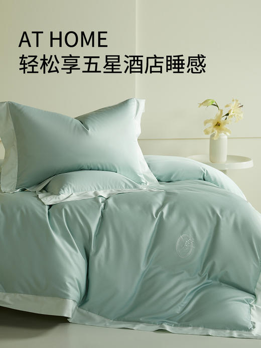 佳丽斯100支长绒棉四件套轻奢高级感绣全棉纯棉2024新款被套床单 商品图2