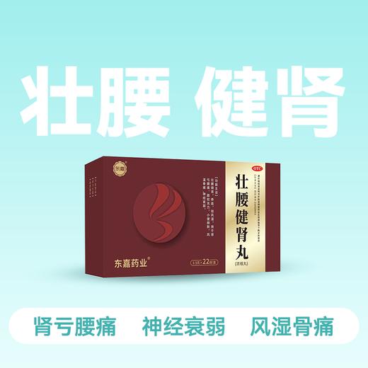 东嘉壮腰补肾丸肾亏腰痛膝软无力【药房直供】 商品图0