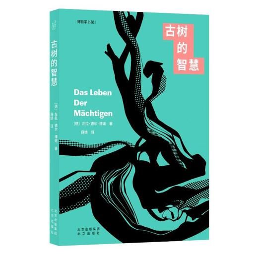 古树的智慧 商品图0