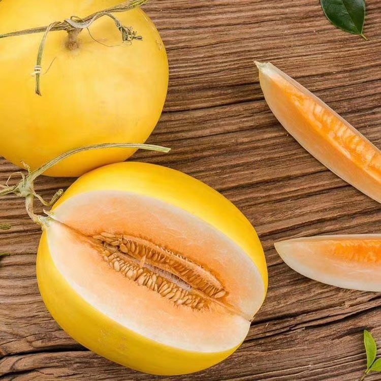 【脆甜爽口】陕西阎良黄金蜜瓜 金红脆